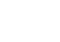 FS8